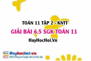 Bài 6.5 SGK Toán 11 Tập 2 Kết nối tri thức